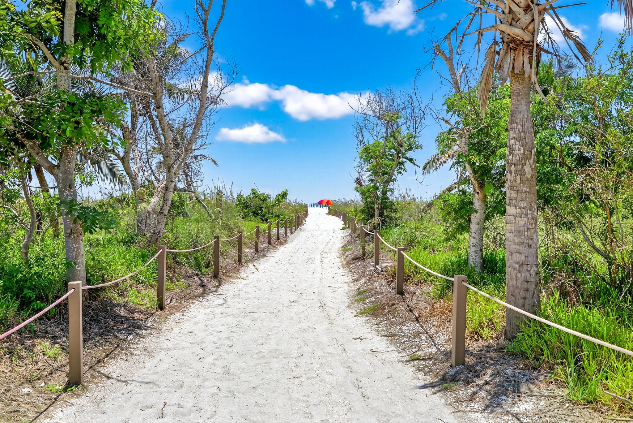 Sandy path through sea grape leading to the beach at Blind Pass